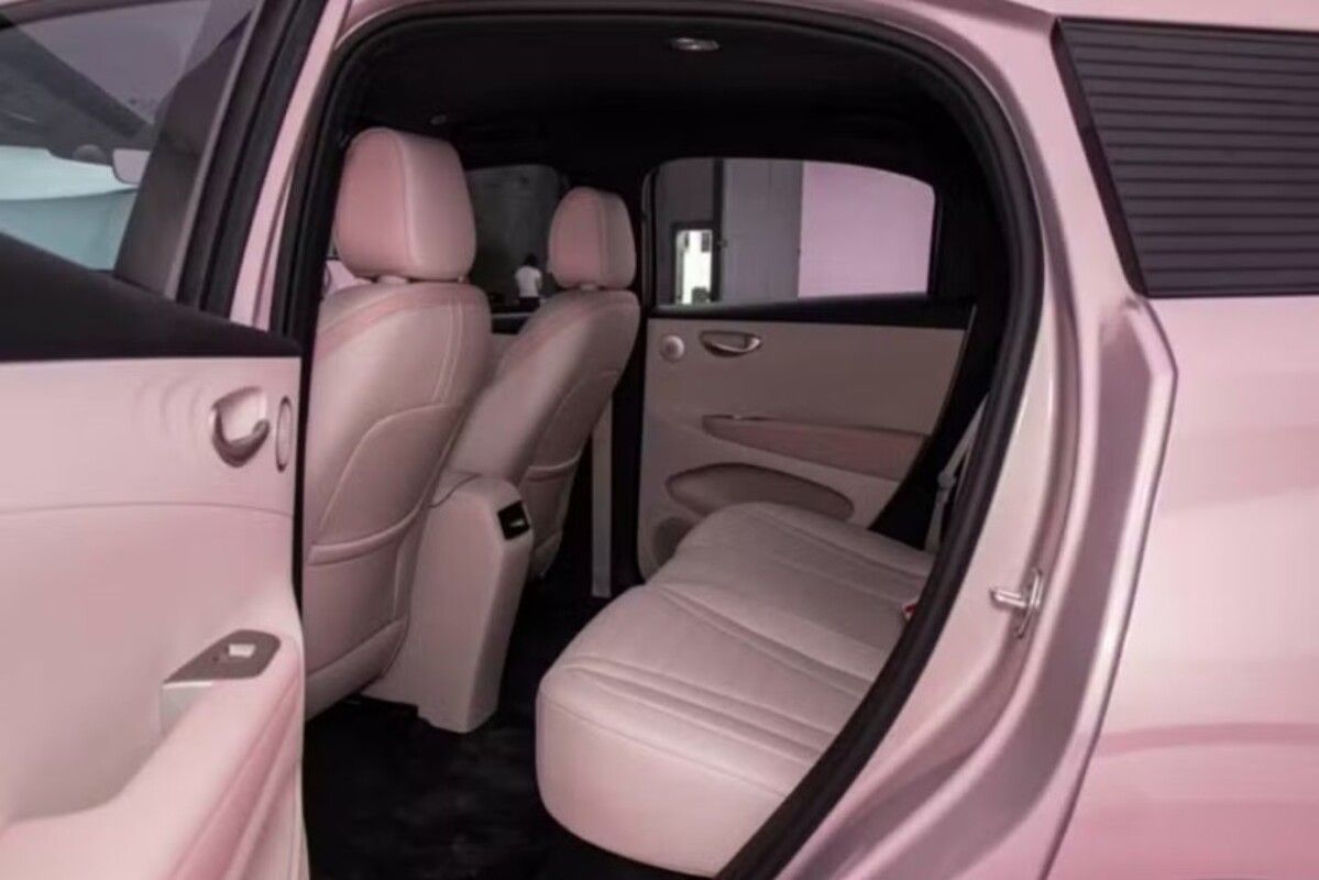 Novo dolphin mini espaço interno.jpg