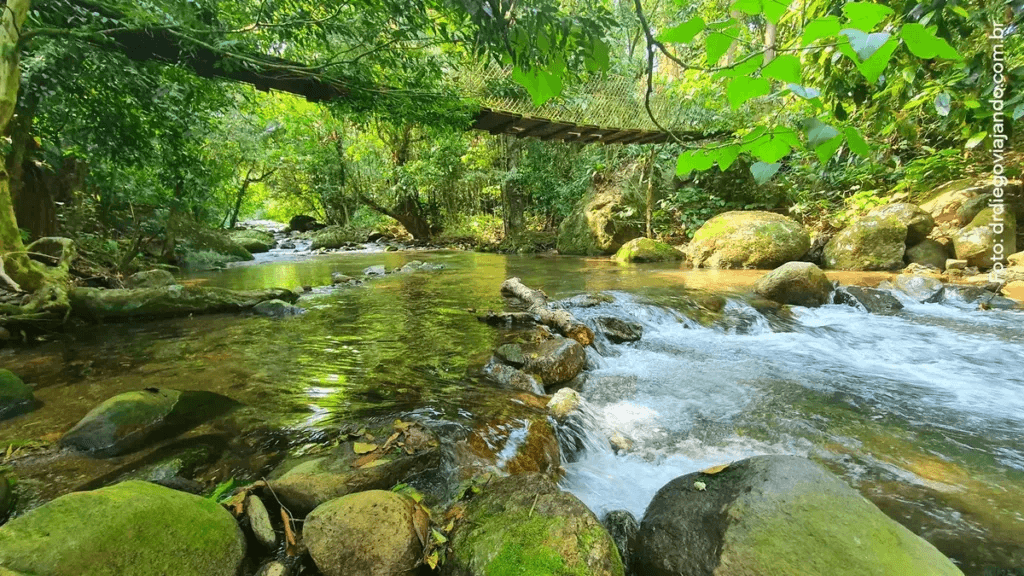 Parque Estadual de Ilhabela.jpg