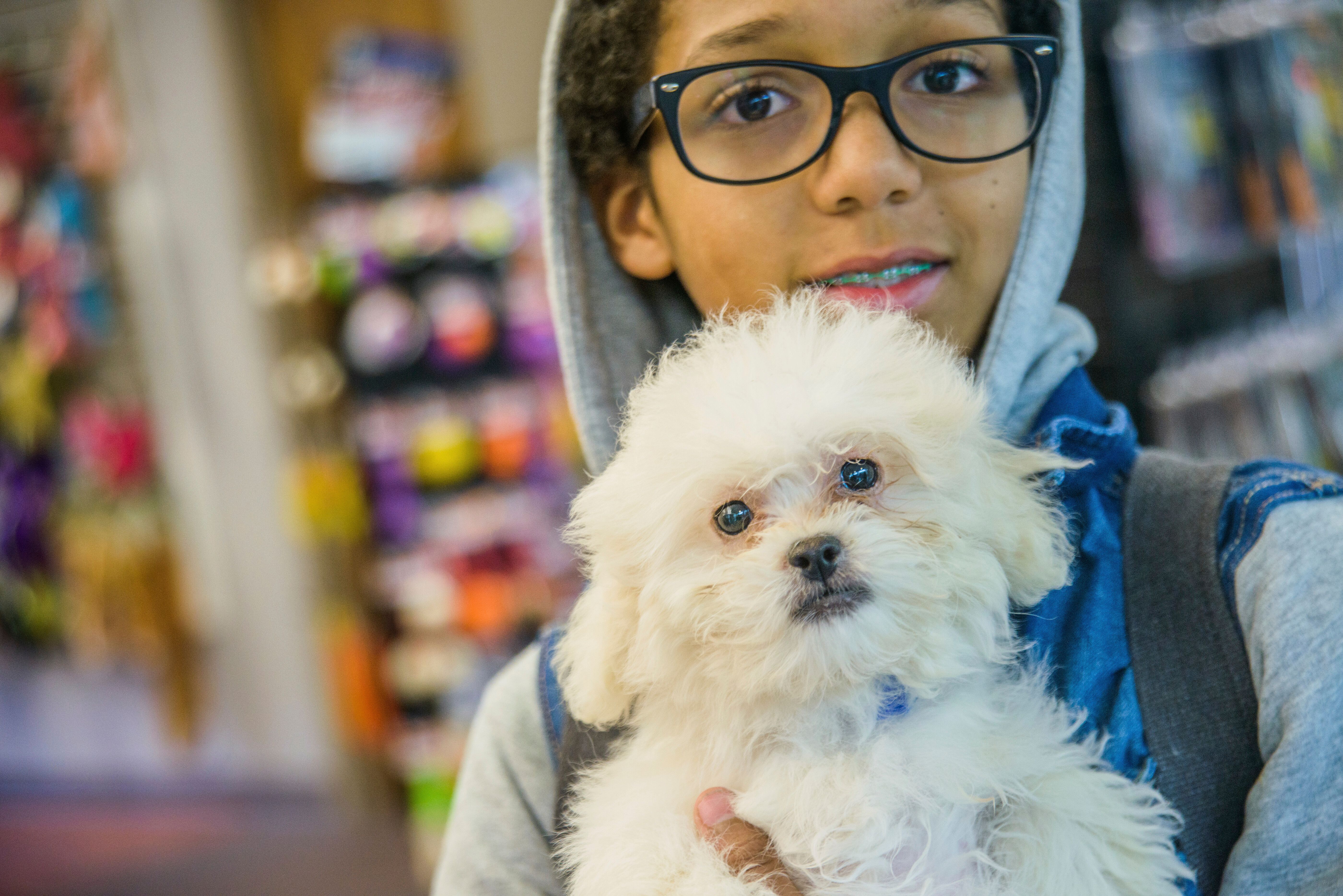 shopping pet friendly em sp.jpg