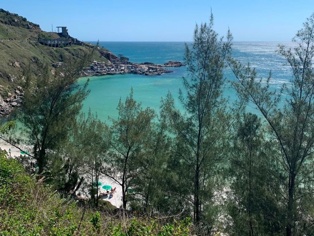 trilha-praia-brava.jpg